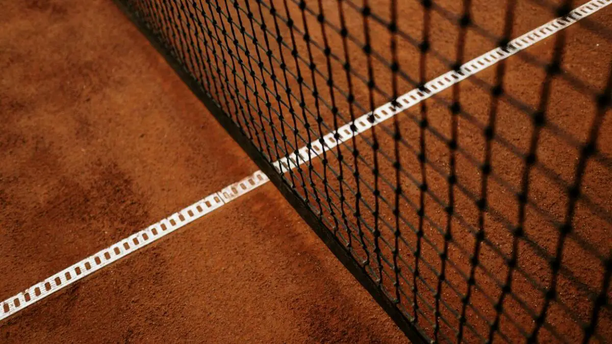 Comment regarder de Minaur contre Medvedev à Roland-Garros 2024 en ligne gratuitement