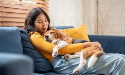 Offres exceptionnelles : gâtez votre bébé à quatre pattes avec les meilleures offres pour animaux de compagnie que nous avons pu trouver cette semaine