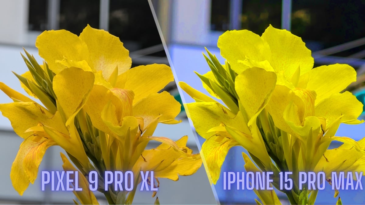 J'ai testé à l'aveugle 7 iPhones qui prennent de meilleures photos : Pixel 9 Pro XL vs iPhone 15 Pro Max