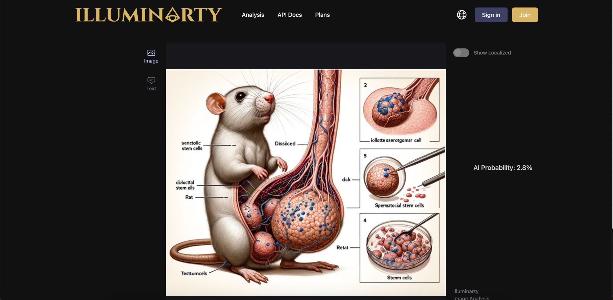 Le détecteur d'IA d'Illuminarty indique qu'un dessin généré par l'IA d'un rat avec ce qui semble être un énorme pénis a une faible probabilité d'être généré par l'IA.