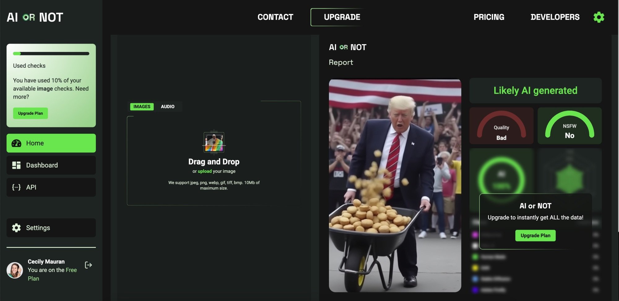 Détecteur d'images AI or Not identifiant correctement une image de Donald Trump portant une brouette de muffins comme générée par l'IA