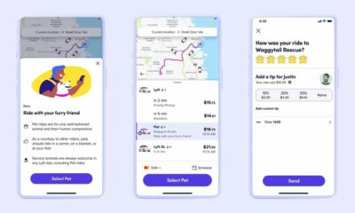 Lyft vous permet d'emmener votre chien avec vous : voici comment fonctionnent les nouveaux « trajets pour animaux de compagnie »