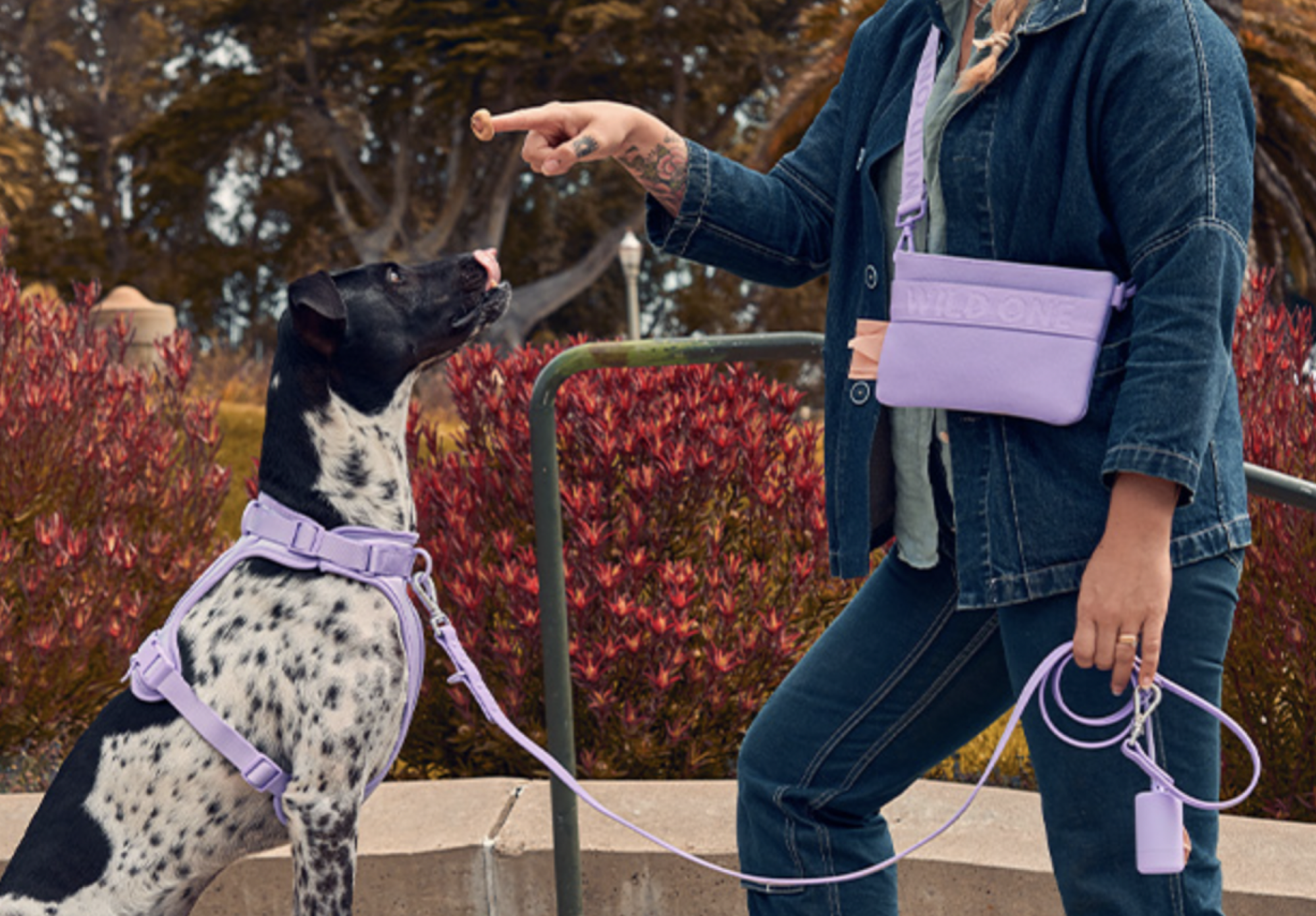 femme et chien