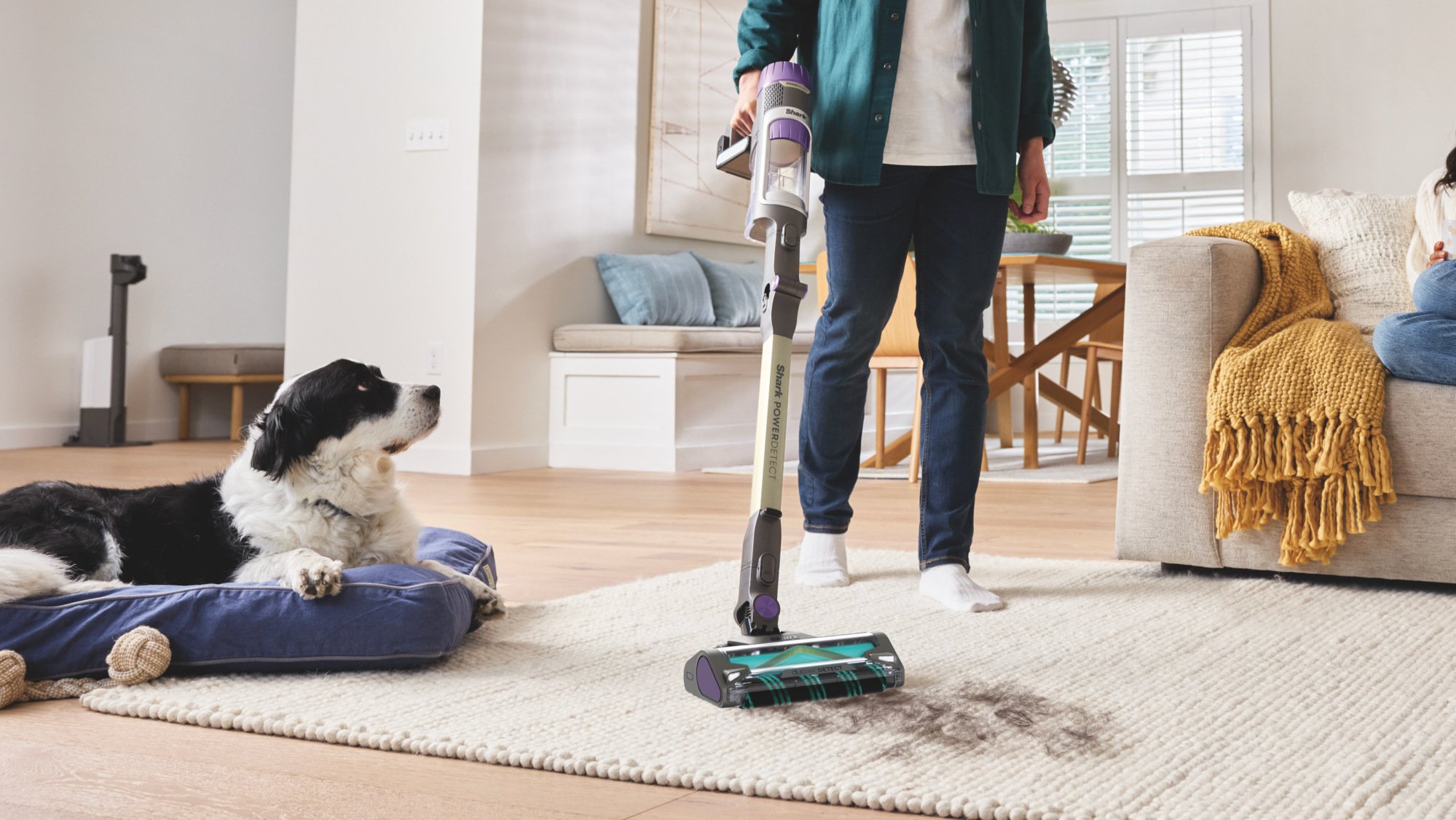 Un chien regarde un homme utiliser un aspirateur balai sans fil Shark Powerdetect