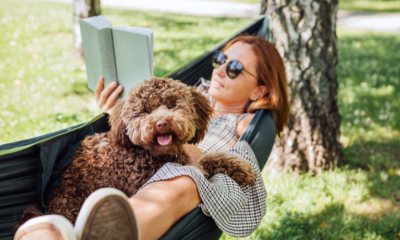 Des tonnes de livres sont en vente sur Amazon avant le Prime Day d'octobre