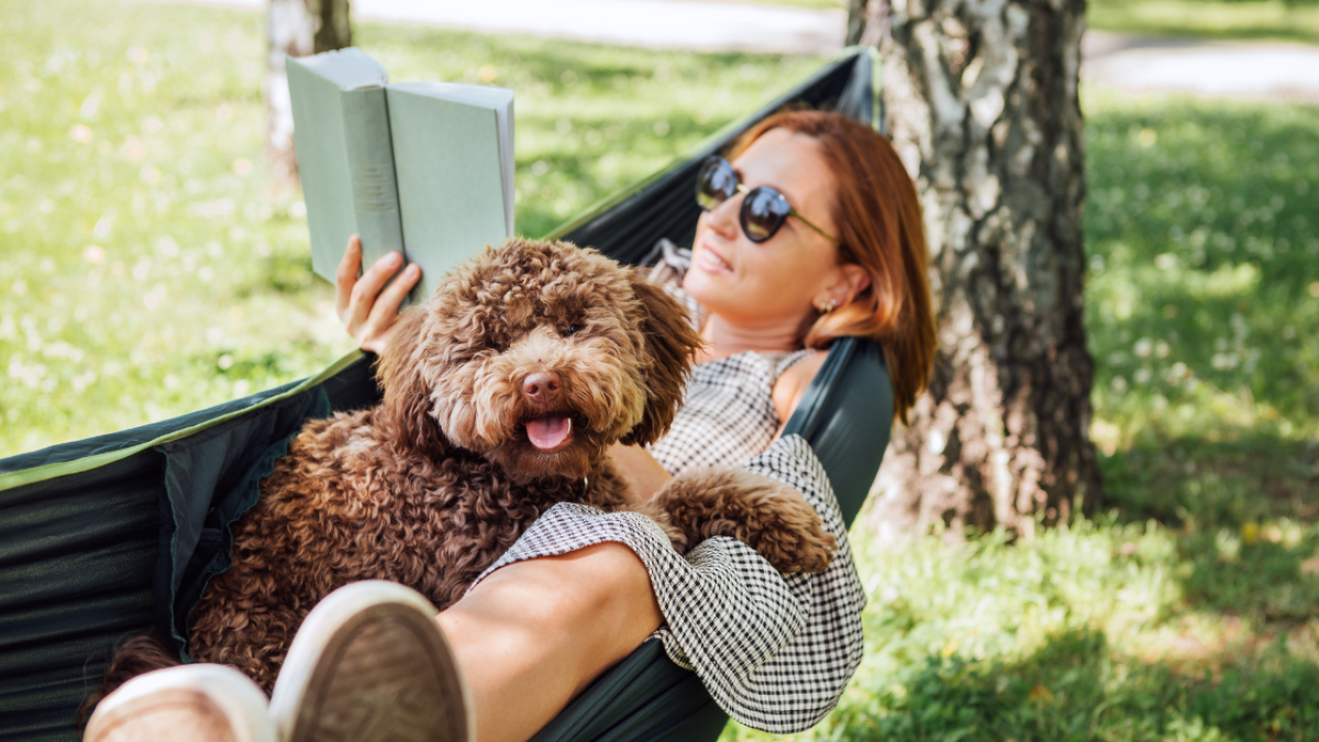 Des tonnes de livres sont en vente sur Amazon avant le Prime Day d'octobre