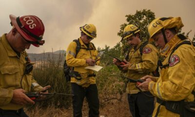 Facebook a signalé et supprimé les informations d'urgence sur les incendies de forêt comme « spam »