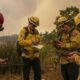 Facebook a signalé et supprimé les informations d'urgence sur les incendies de forêt comme « spam »