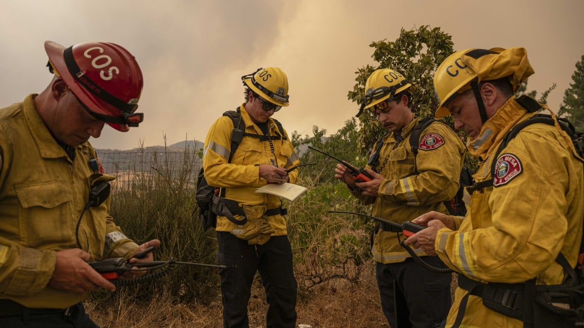 Facebook a signalé et supprimé les informations d'urgence sur les incendies de forêt comme « spam »