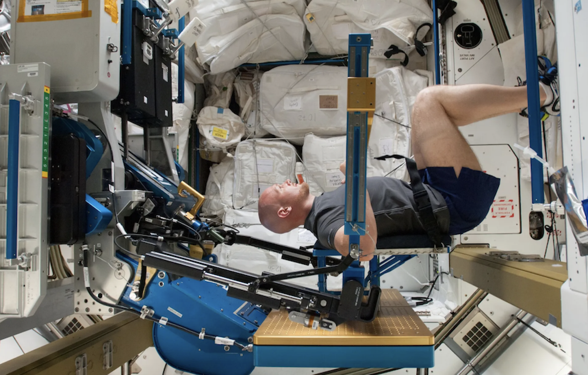 L'astronaute de l'ESA (Agence spatiale européenne) Alexander Gerst s'exerce sur la station spatiale pour lutter contre la perte de densité musculaire et osseuse.