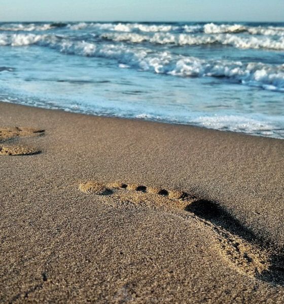 Pour vos prochaines vacances : optez pour une résidence de vacances