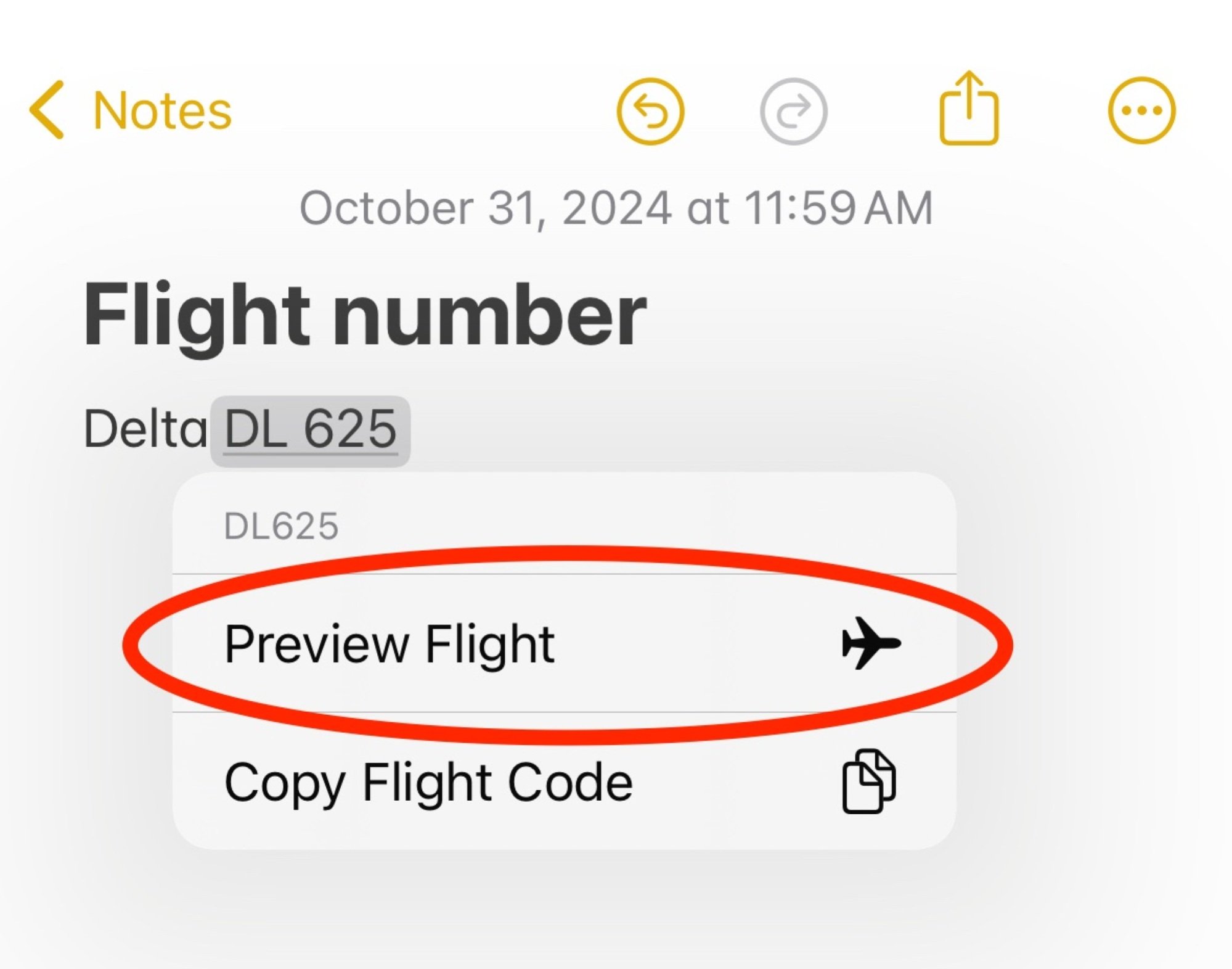 numéro de vol dans l'application Notes sur iPhone affichant la possibilité de prévisualiser le vol ou de copier le lien
