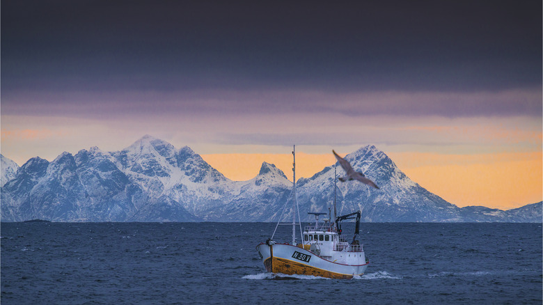 Un bateau de pêche devant des montagnes enneigées au crépuscule