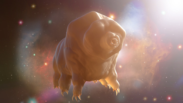 Un rendu 3D d'un tardigrade sur fond d'espace