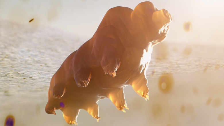 Un rendu 3D d'un tardigrade