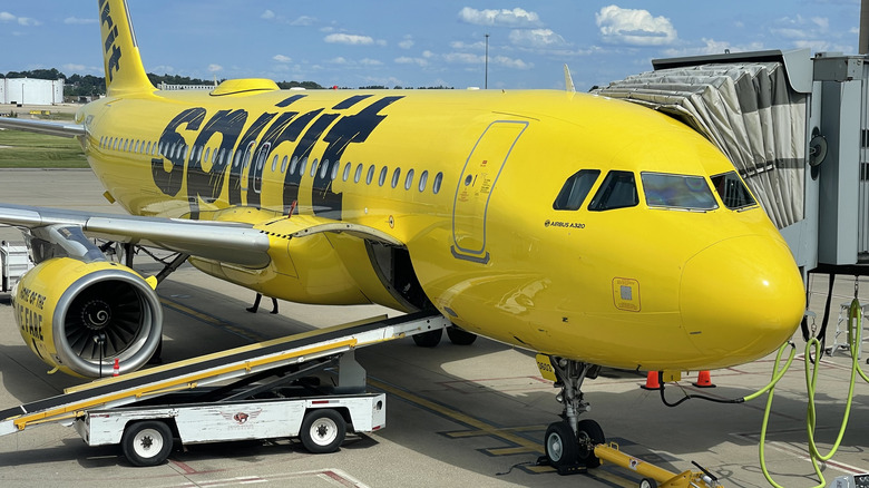 L'avion de Spirit Airlines au sol