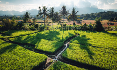 Une ville cachée en Thaïlande est un favori local pour ses vues sur les montagnes et son ambiance tranquille