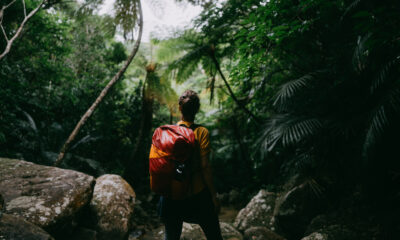 Des données climatiques alarmantes découvertes lors de l’étude des forêts tropicales