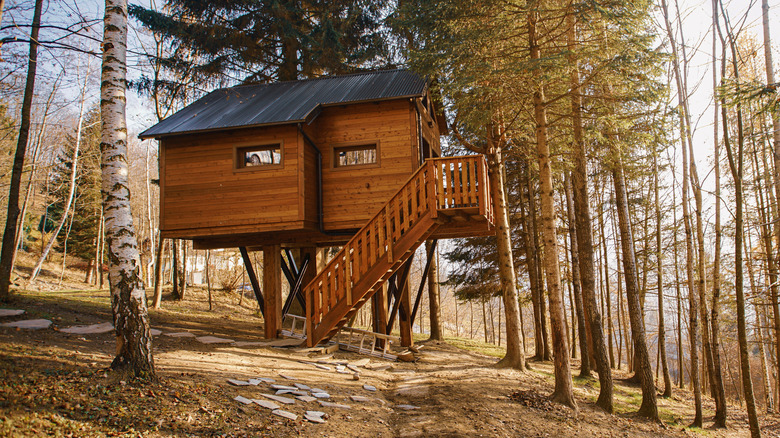 Location cabane dans les arbres dans les bois 