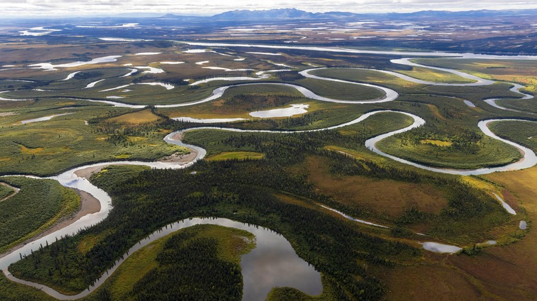 vue aérienne de la rivière dans la toundra