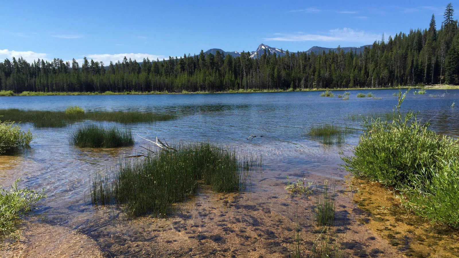 Ce lac sous le radar est l'un des plus clairs et des plus étonnants de l'Oregon