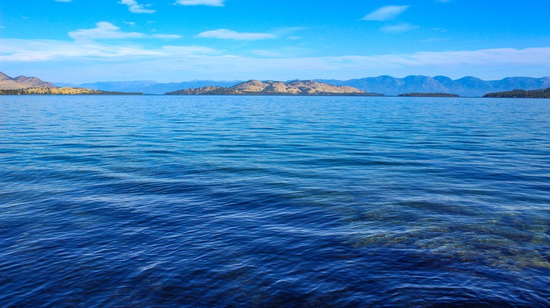 Wild Horse Island sur le lac Flathead dans le Montana