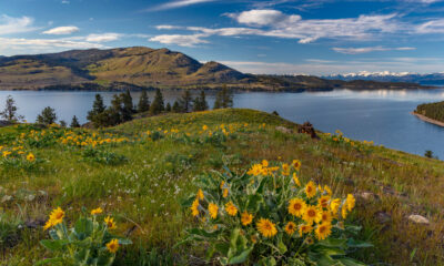 Le parc d'État sous-estimé de l'île du Montana regorge de faune et de rivages pittoresques