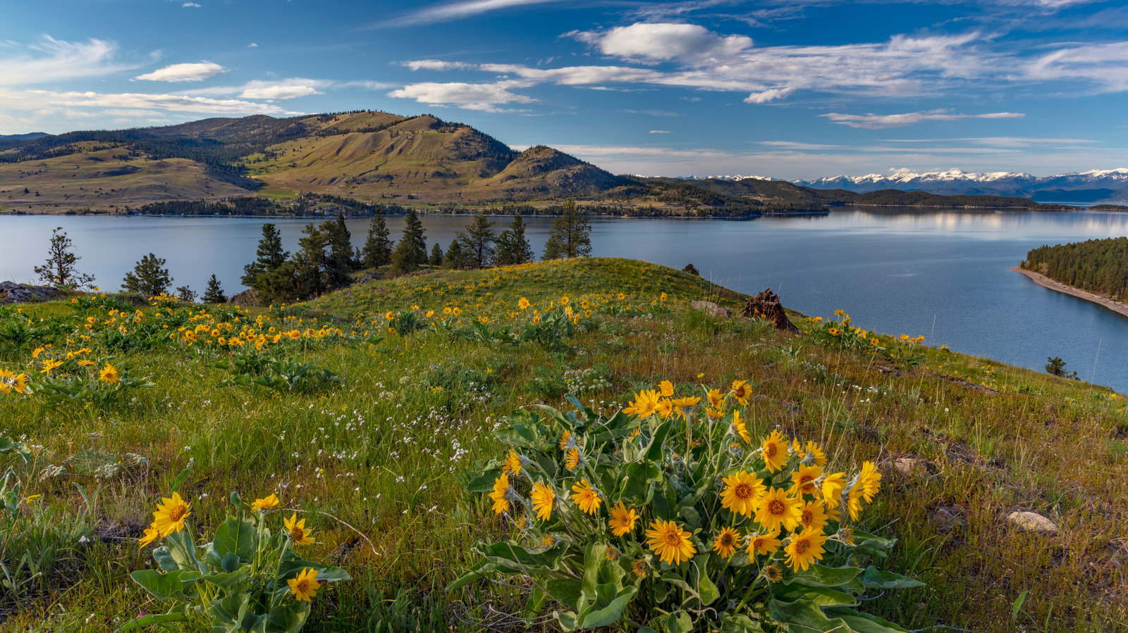 Le parc d'État sous-estimé de l'île du Montana regorge de faune et de rivages pittoresques