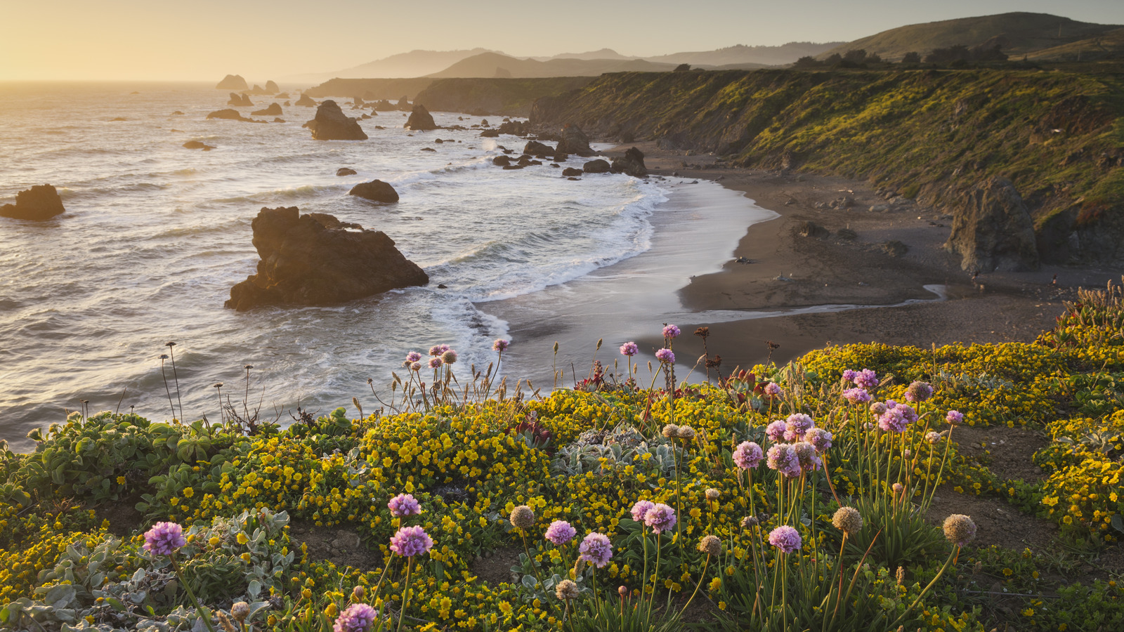 5 espèces envahissantes qui font des ravages en Californie