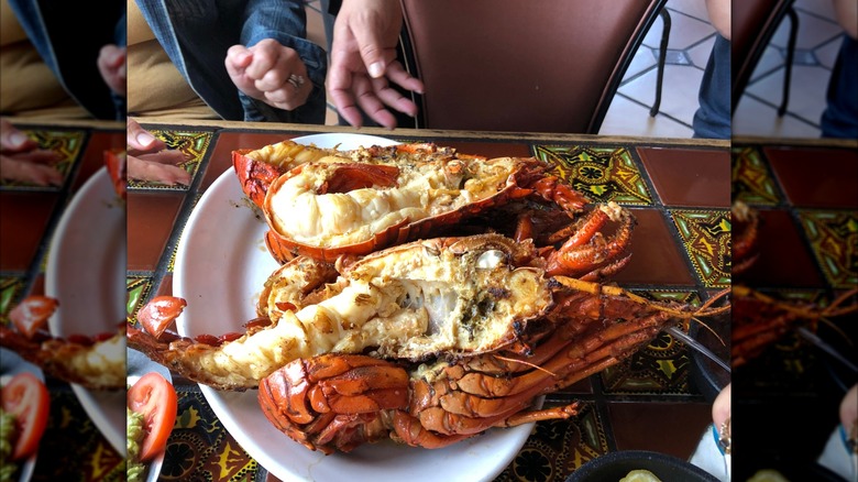 Un repas de homard plus copieux dans un restaurant