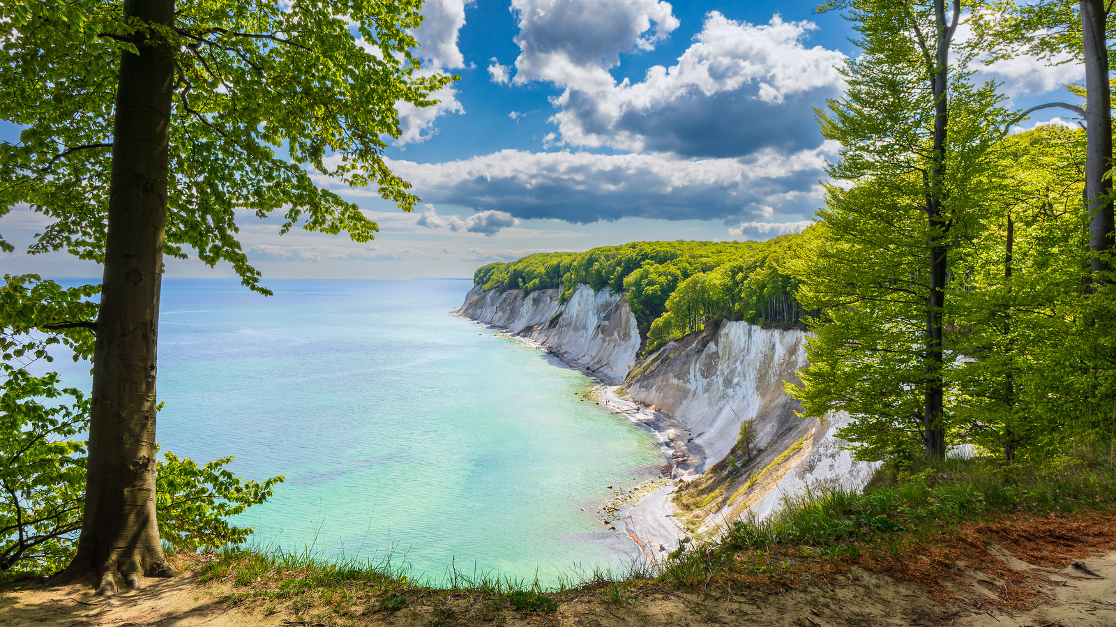 Le plus petit parc national d'Allemagne est un joyau côtier sous-estimé avec de magnifiques randonnées sur les falaises