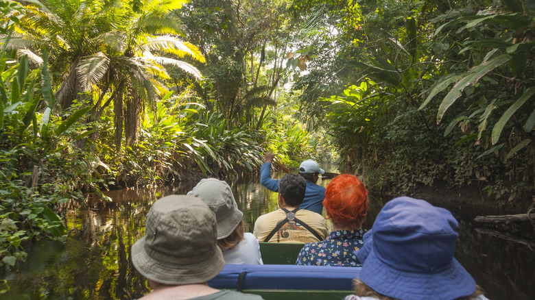 Des touristes descendent une rivière en canoë à Yasuni