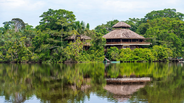 Cabane au-dessus de l'eau dans le parc national Yasuni