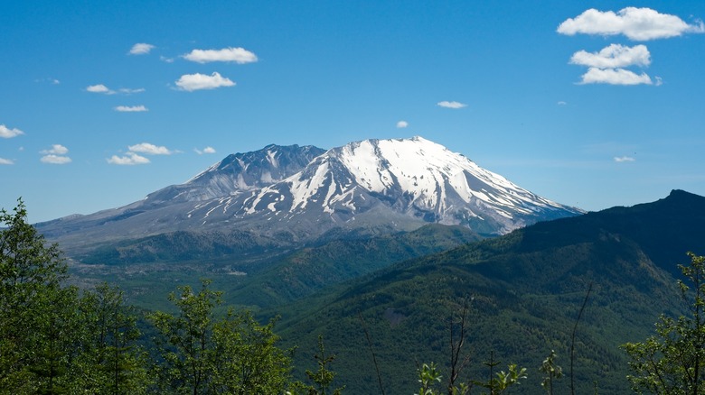 Vue dégagée sur le mont Saint Helens depuis le belvédère d'Elk Rock