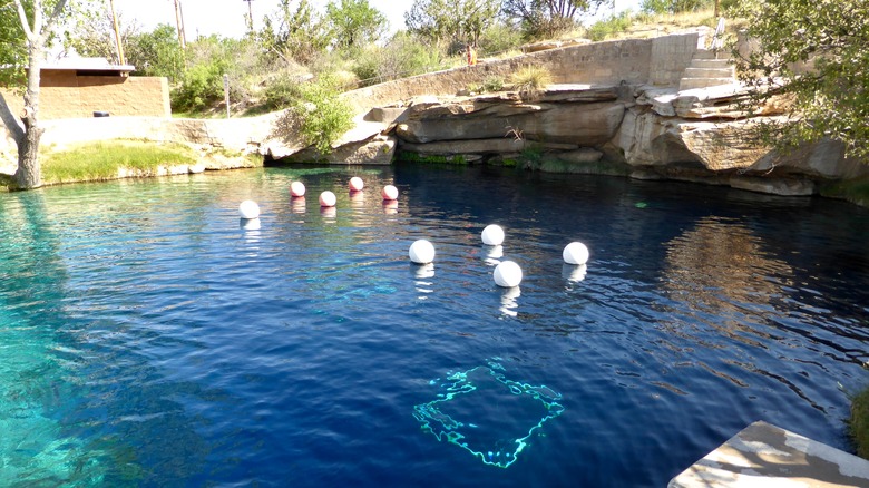 Un bassin d'eau céruléenne avec neuf bouées de couleur rouge et blanche flottant à sa surface