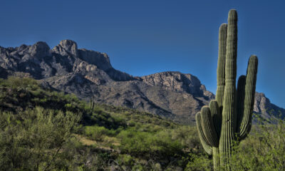 Au pied des montagnes de l'Arizona se trouve un parc d'État pittoresque composé de canyons et de vues sur le désert