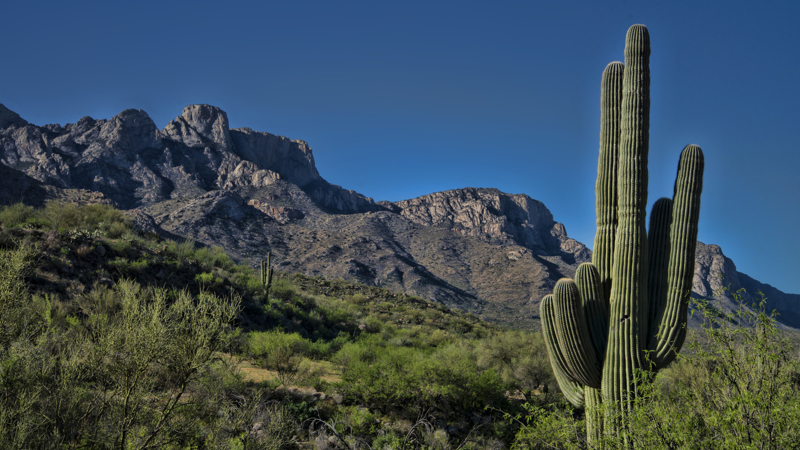 Au pied des montagnes de l'Arizona se trouve un parc d'État pittoresque composé de canyons et de vues sur le désert