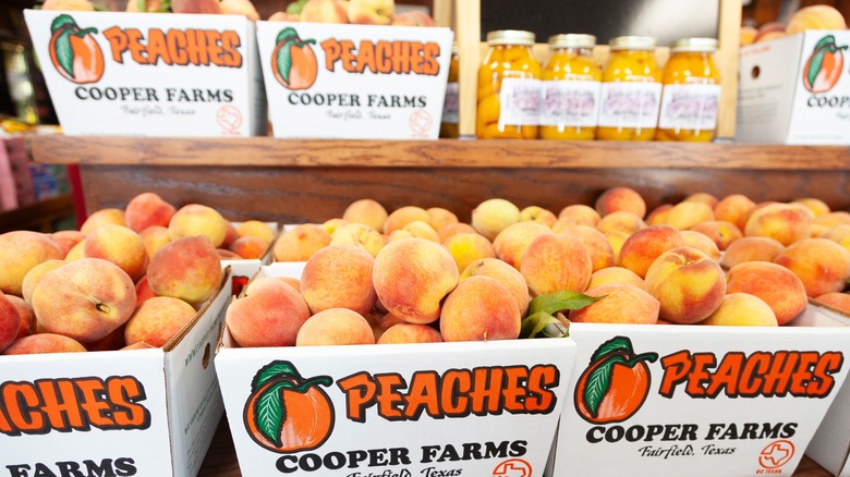 Pêches à Cooper Farms