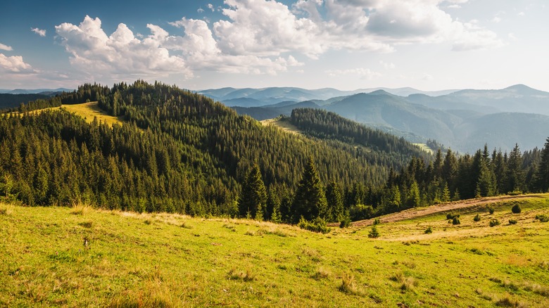 Un paysage en Europe comprend des collines et des forêts