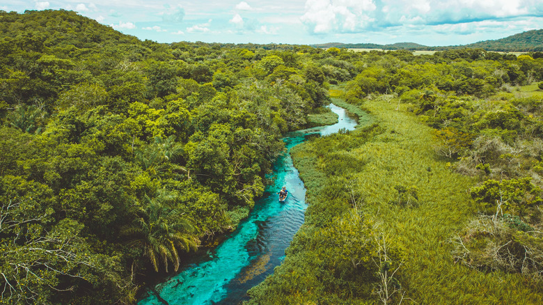 Rivière Sucuri, Mato Grosso do Sul, Brésil