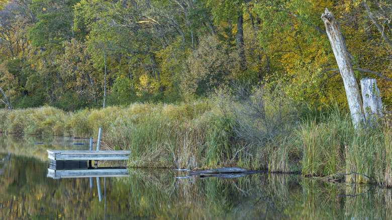 Parc d'État du lac Maria, Minnesota