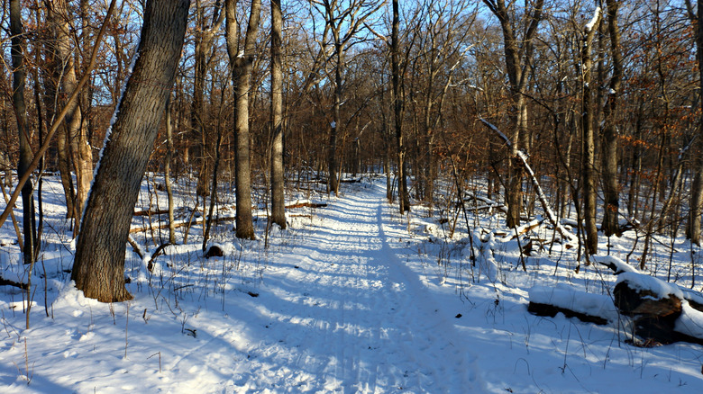 Sentier d'hiver, parc d'État de Lake Maria, Minnesota