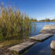 Évadez-vous de la vie urbaine de Minneapolis dans ce parc d'État isolé du lac à proximité pour camper et faire de la randonnée