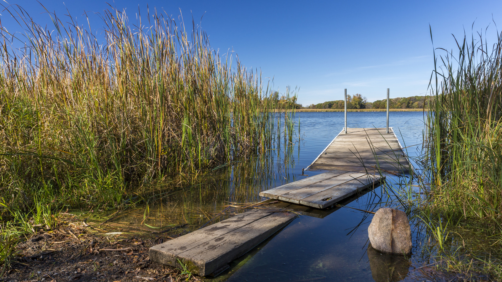 Évadez-vous de la vie urbaine de Minneapolis dans ce parc d'État isolé du lac à proximité pour camper et faire de la randonnée