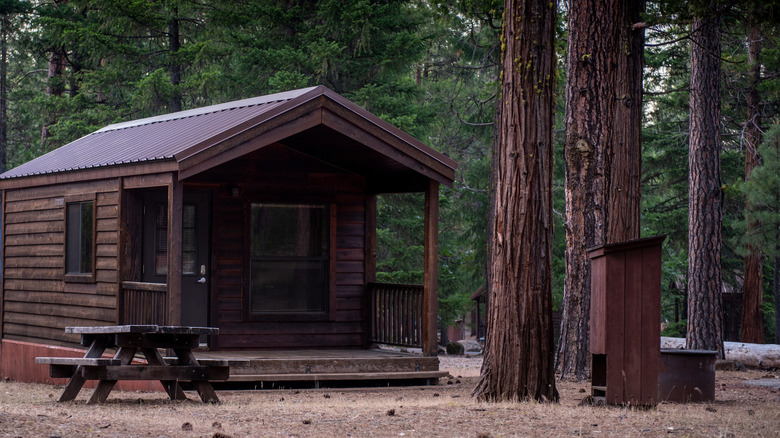 Cabane en rondins en forêt