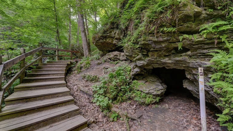 Entrée de Window Cave au parc national de Maquoketa Caves, Iowa