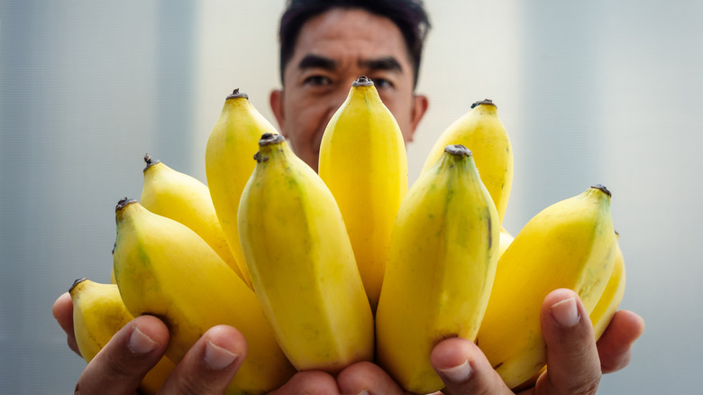 L’homme tient un régime de bananes