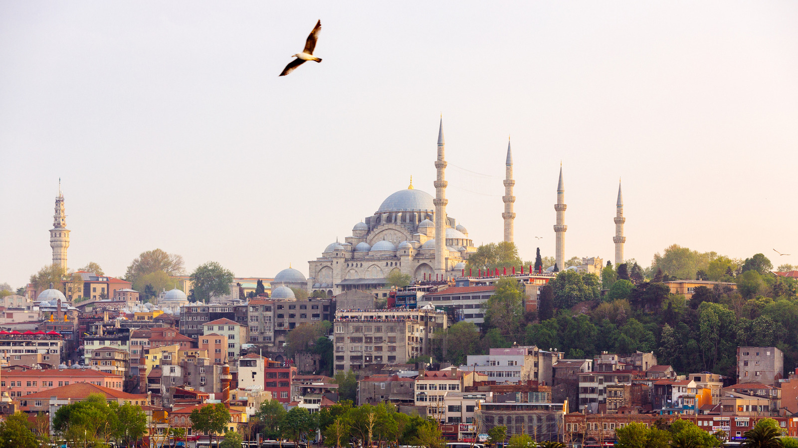 Pourquoi les touristes doivent être très prudents lorsqu'ils prennent des photos dans les mosquées emblématiques de Turquie