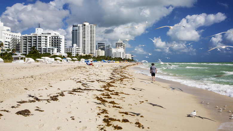 Gens se détendant sur la côte de Miami Beach