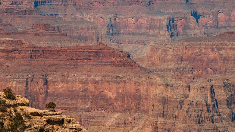 Roche sédimentaire du Grand Canyon